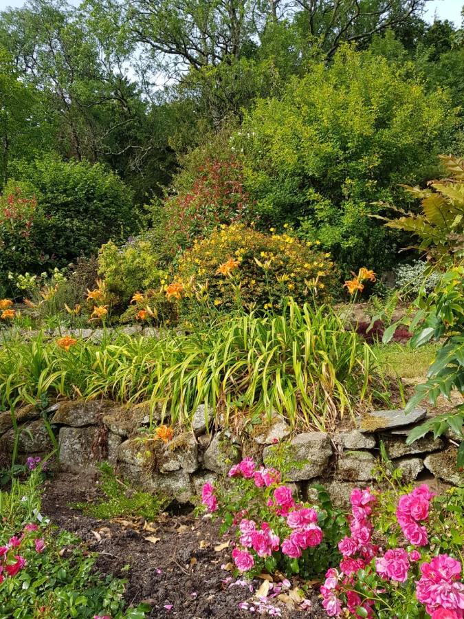 Lustleigh Eastwrey Barton Country House المظهر الخارجي الصورة